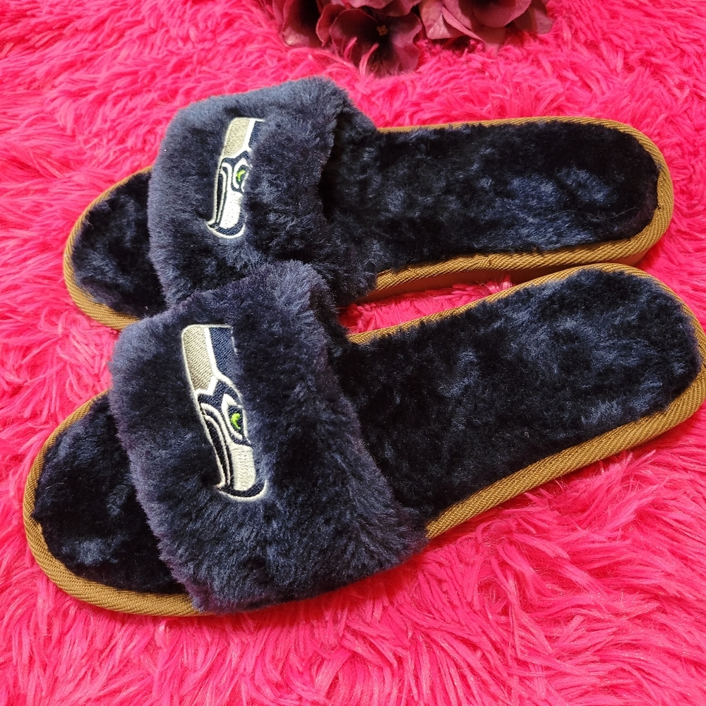 Seahawks slides - Picture 4 of 6